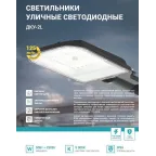 Светильник уличный линзованный светодиодный ДКУ-2L 50Вт 230В 5000К 6250лм 125лм/Вт 42-48мм IP65 NEOX 4690612057071
