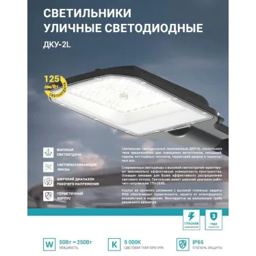 Светильник уличный линзованный светодиодный ДКУ-2L 50Вт 230В 5000К 6250лм 125лм/Вт 42-48мм IP65 NEOX 4690612057071