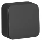                  Выключатель 1-кл. ОП Blanca 10А IP20 (сх. 1) 250В с изолир. пластиной антрацит SE BLNVA101016
               