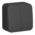                  Выключатель 2-кл. ОП Blanca 10А IP20 (сх. 5) 250В с изолир. пластиной антрацит SE BLNVA105016
               