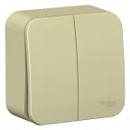                  Выключатель 2-кл. ОП Blanca 10А IP20 (сх. 5) 250В с изолир. пластиной беж. SE BLNVA105017
               