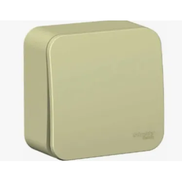 Выключатель 1-кл. ОП Blanca 10А IP20 (сх. 1) 250В с изолир. пластиной беж. SE BLNVA101017