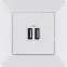 Розетка USB 2-м Valena Life 240В/5В 2400мА с лицев. панелью механизм бел. Leg 753412