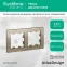 Рамка 2-м AtlasDesign универс. шампань SE ATN000502