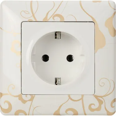Розетка 1-м СП Valena Life 16А IP2X 250В 2P+E безвинтов. клеммы с лицев. панелью механизм бел. Leg 753421