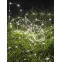 Гирлянда светодиодная 10м 100LED на солнечной батарее аккум. NI-MH 300мА.ч КОСМОС KOC_SOL197