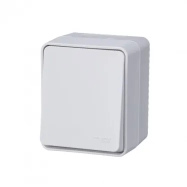 Переключатель проходной 1-кл. ОП AtlasDesign PROFI IP54 10AX бел. SE ATN540161