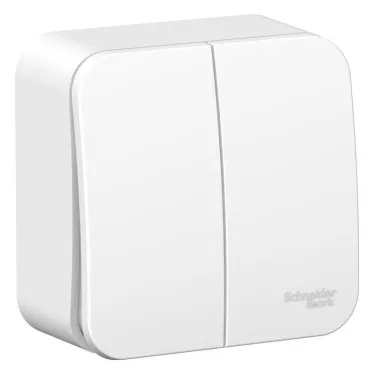 Выключатель 2-кл. ОП Blanca 10А IP20 (сх. 5) 250В с изолир. пластиной бел. SE BLNVA105011