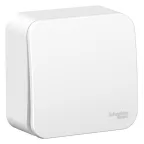 Выключатель 1-кл. ОП Blanca 10А IP20 (сх. 1) 250В с изолир. пластиной бел. SE BLNVA101011
