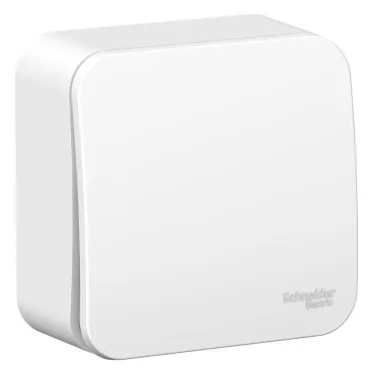 Выключатель 1-кл. ОП Blanca 10А IP20 (сх. 1) 250В с изолир. пластиной бел. SE BLNVA101011