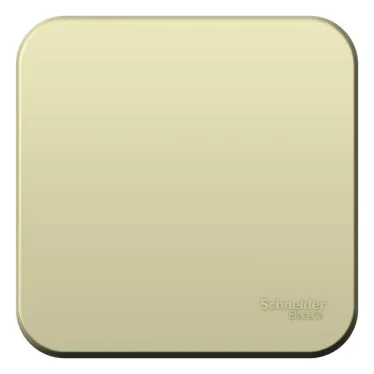 Выключатель 1-кл. ОП Blanca 10А IP20 (сх. 1) 250В с изолир. пластиной беж. SE BLNVA101017