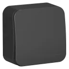 Выключатель 1-кл. ОП Blanca 10А IP20 (сх. 1) 250В с изолир. пластиной антрацит SE BLNVA101016