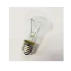 Лампа FL-LED FL-HP ST26 REF 15W E14 FOTON_LIGHTING - для холодильников 615930