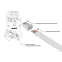 Джек компьютерный RJ45 (8P8C) кат.5E с экраном (уп.100шт) Rexant 05-1023